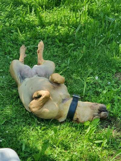 Foto Challenge - Zeigt her eure Bäuche-Beitrag-Bild