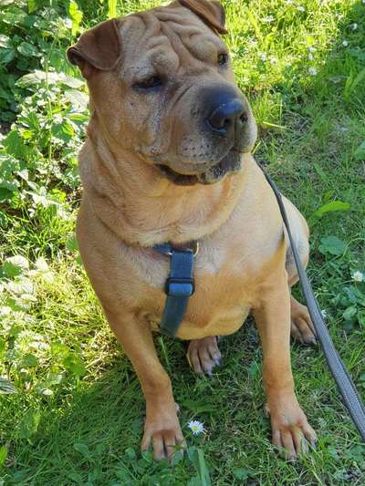 Zeigt eure Portraits-Beitrag-Bild