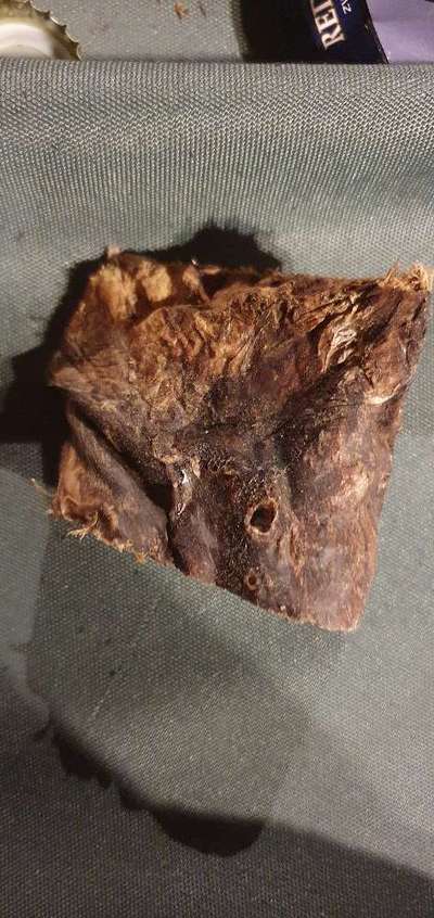 Zeigt her Eure Futternäpfe-Beitrag-Bild