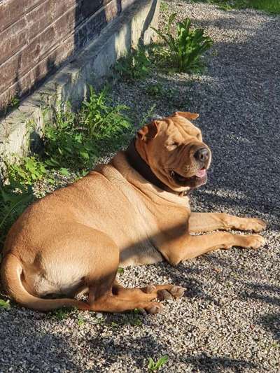 Fotochallenge Nr. 62 Romantische Momente-Beitrag-Bild