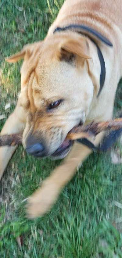 Fotochallenge 129-Beitrag-Bild