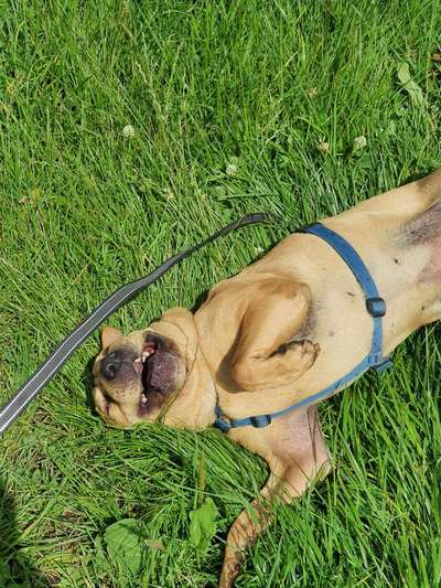 "Die eingefangene Magie des Augenblicks"-Beitrag-Bild