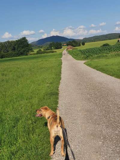 Fotochallenge Nr 107-Beitrag-Bild