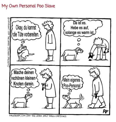 Hunde Memes-Beitrag-Bild