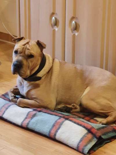 Lieblingsbild :D-Beitrag-Bild