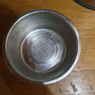 Zeigt her Eure Futternäpfe-Beitrag-Bild