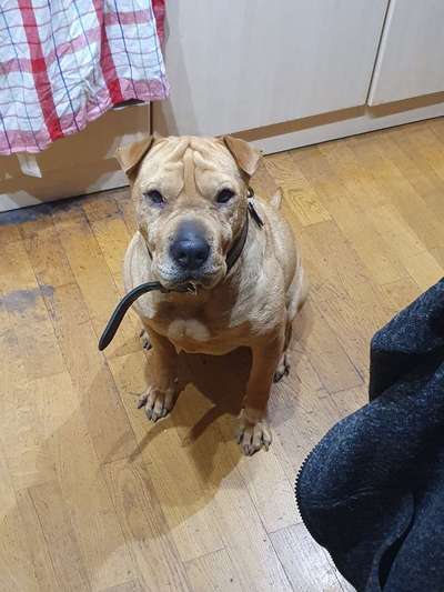 147. Foto Challenge: Bettelblick-Beitrag-Bild