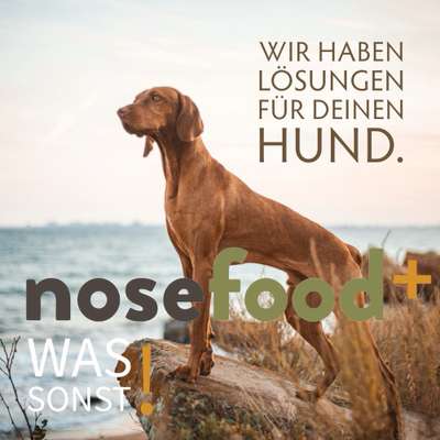 Hundeshops-nosefood Die Hundefutter-Manufaktur-Bild
