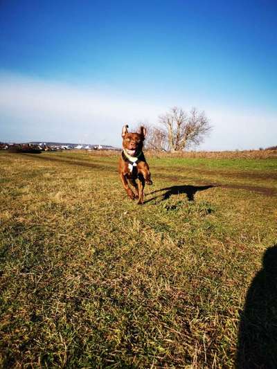 Lieblings Schnappschuss?-Beitrag-Bild