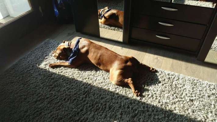 Vorher.... Nachher-Beitrag-Bild