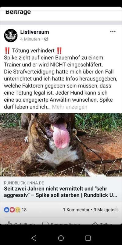 Willkür der Behörden  - Rottweiler soll trotz bestandenen Wesenstest getötet werden-Beitrag-Bild