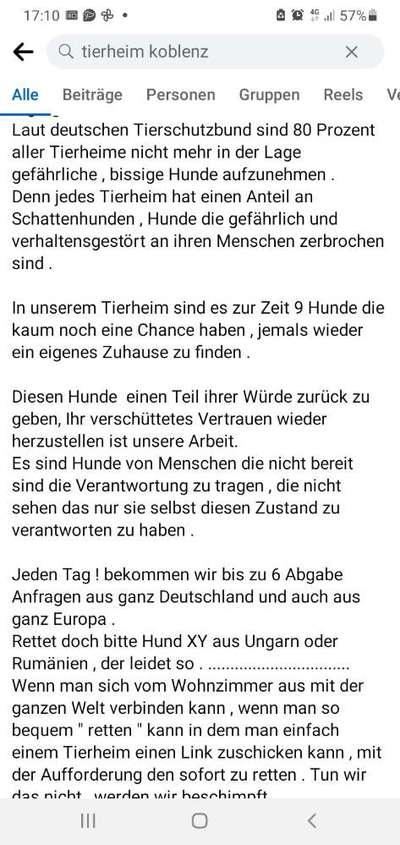 Tiere aus dem Ausland - TV-Formate-Beitrag-Bild