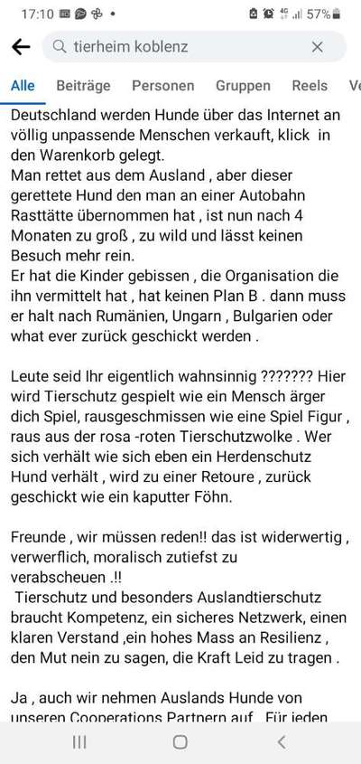 Tiere aus dem Ausland - TV-Formate-Beitrag-Bild