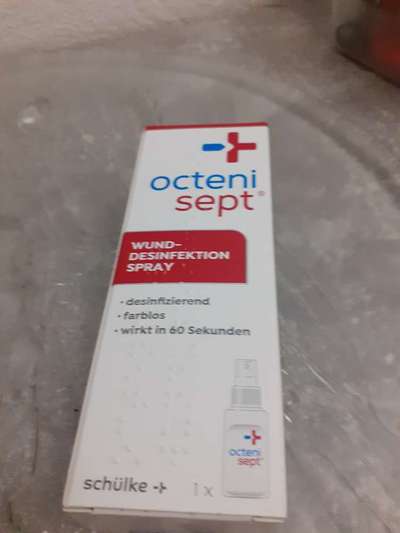 Rattenbiss/ Nutria-Beitrag-Bild