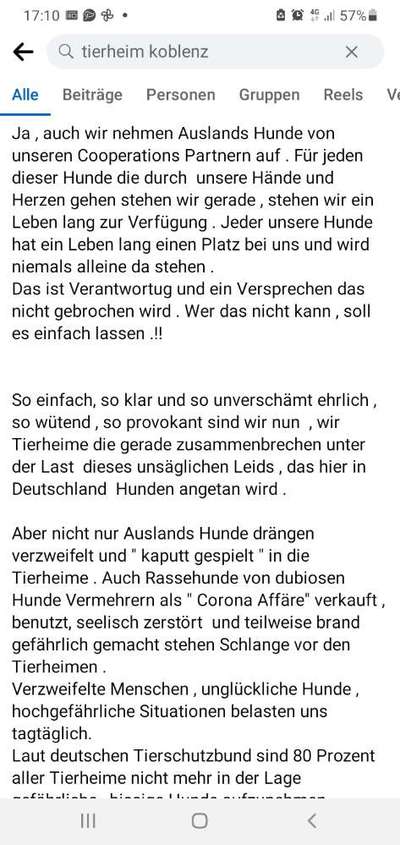Überfüllte und unterfinanzierte Tierheime – Braucht es politisches Handeln?-Beitrag-Bild