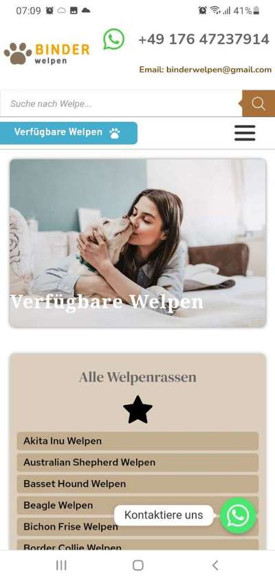 Überfüllte und unterfinanzierte Tierheime – Braucht es politisches Handeln?-Beitrag-Bild