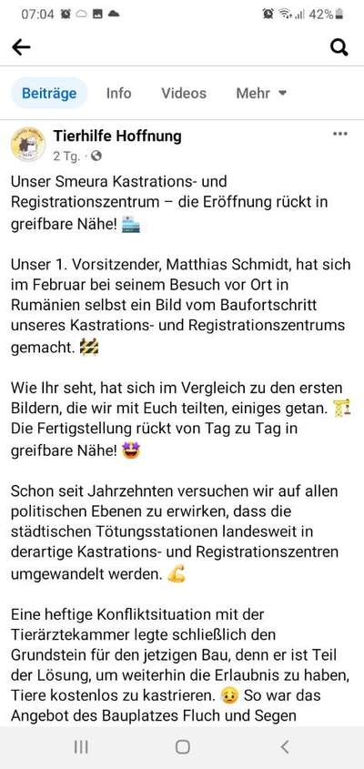 Überfüllte und unterfinanzierte Tierheime – Braucht es politisches Handeln?-Beitrag-Bild