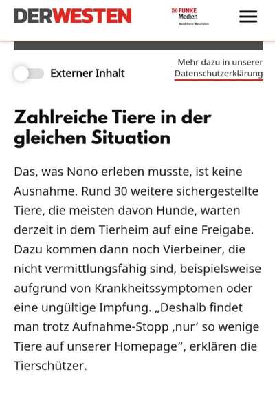 Überfüllte und unterfinanzierte Tierheime – Braucht es politisches Handeln?-Beitrag-Bild