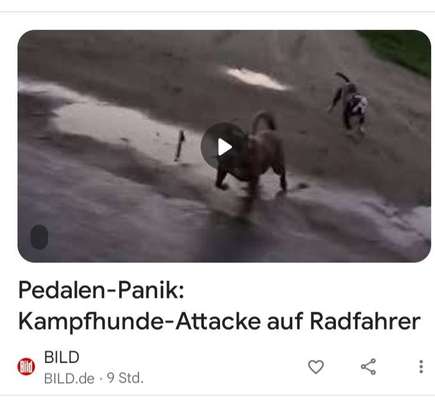 Was hat euch heute genervt?-Beitrag-Bild