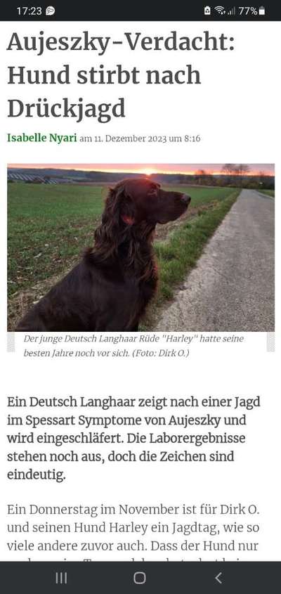 Ist Treibjagd noch zeitgemäß und mit "Hundeliebe" vereinbar?-Beitrag-Bild