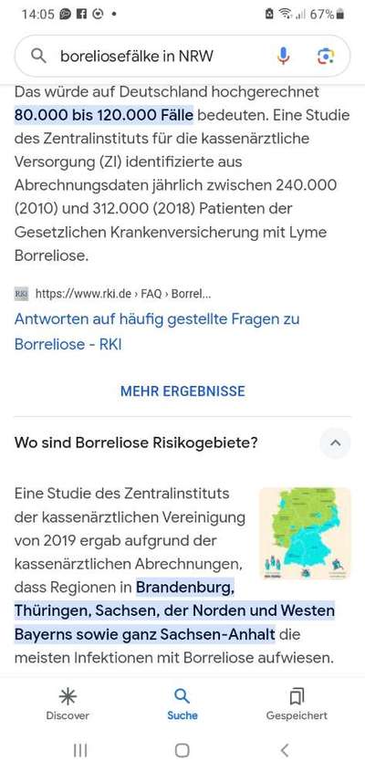 Zeckenbekämpfung durch Spot-ons - unübertreffliche Wirkung oder verhängnisvolles Gift?-Beitrag-Bild