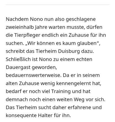 Überfüllte und unterfinanzierte Tierheime – Braucht es politisches Handeln?-Beitrag-Bild