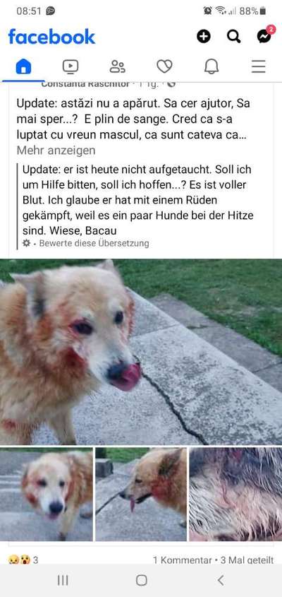 Was hat euch heute genervt?-Beitrag-Bild