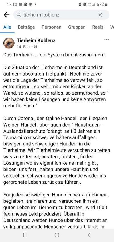 Überfüllte und unterfinanzierte Tierheime – Braucht es politisches Handeln?-Beitrag-Bild