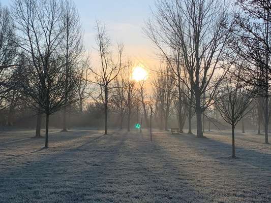 Hundeauslaufgebiet-Baumpark Erbhof Thedinghausen-Bild