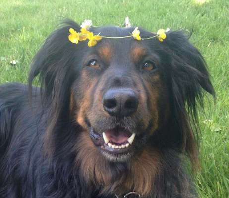 Fotochallange Nr. 57     PORTRÄT.   Beendet!!!!!!!!-Beitrag-Bild