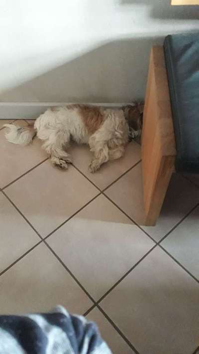 Die unbequemsten und lustigsten Schlafpositionen-Beitrag-Bild