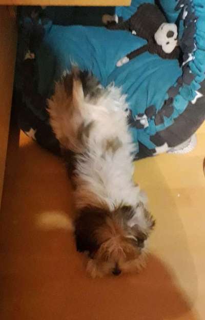 Die unbequemsten und lustigsten Schlafpositionen-Beitrag-Bild