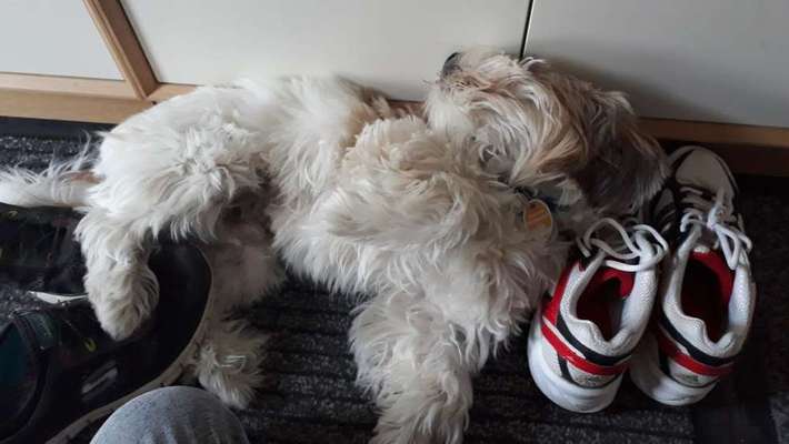 Die unbequemsten und lustigsten Schlafpositionen-Beitrag-Bild