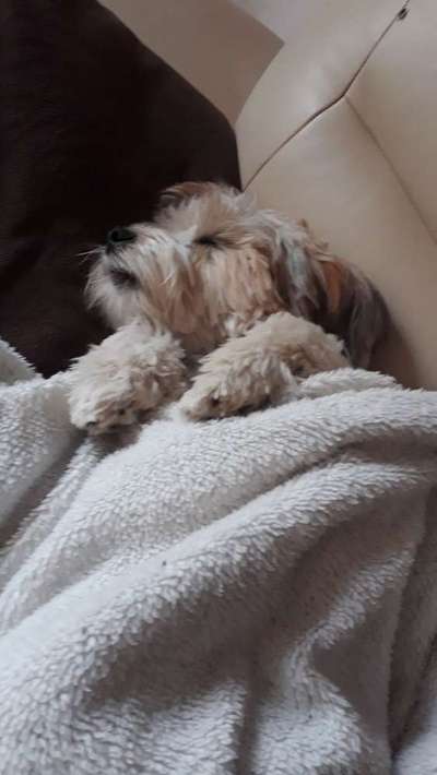 Die unbequemsten und lustigsten Schlafpositionen-Beitrag-Bild