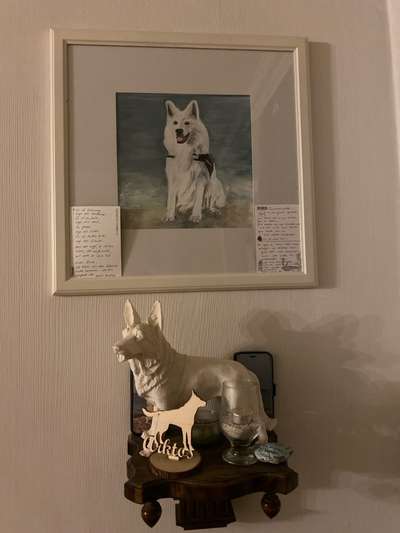 Urne von verstorbenen Haustieren !-Beitrag-Bild