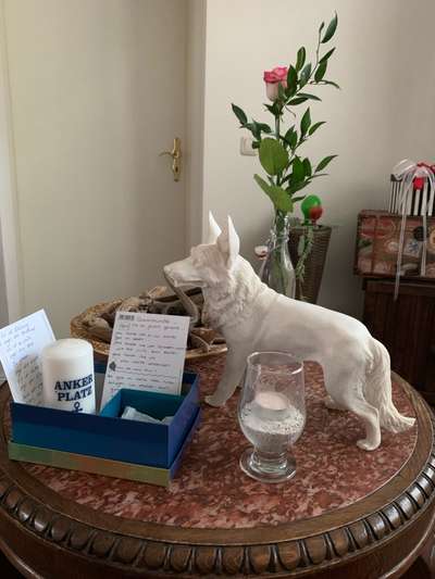 Urne von verstorbenen Haustieren !-Beitrag-Bild