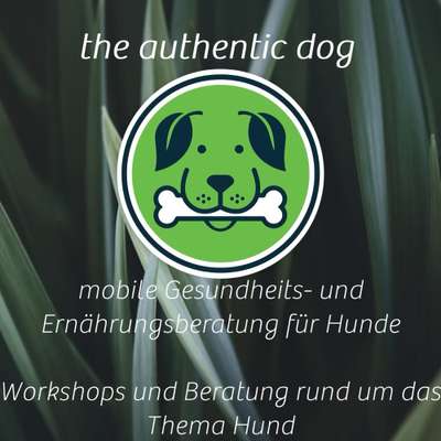 %{de_profession_title}-Gesundheits-Ernährungsberatung für Hunde-Bild