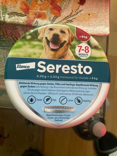 Floh/Zecken Schutz-Beitrag-Bild