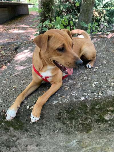 Das beste grinsefoto-Beitrag-Bild