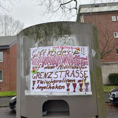 Giftköder-Fleischpralinien mit Angelhaken-Bild