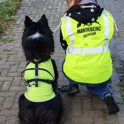 Hundetreffen-voll besetzt - Mantrailing Hobbygruppe in BS & Umgebung --Bild