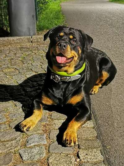 Das beste grinsefoto-Beitrag-Bild