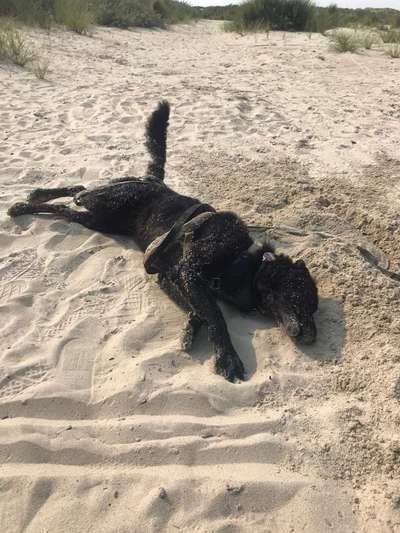 Eure Strandbilder :)-Beitrag-Bild