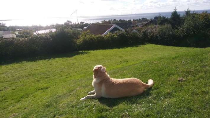 Urlaub Dänemark-Beitrag-Bild