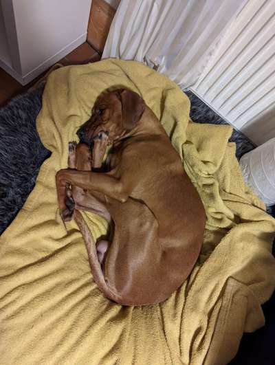 FOTO-Challenge  NR. 91: Die pure Entspannung-Beitrag-Bild