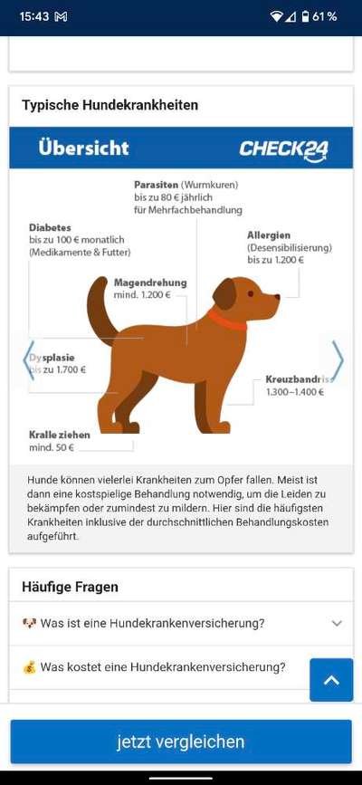 Krankenvollversicherung oder OP-Versicherung für meinen Hund?-Beitrag-Bild