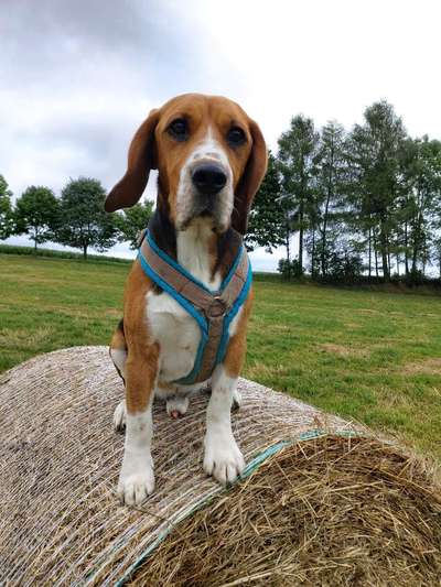 Fotochallenge Nr 50 Vom Winde verweht-Beitrag-Bild