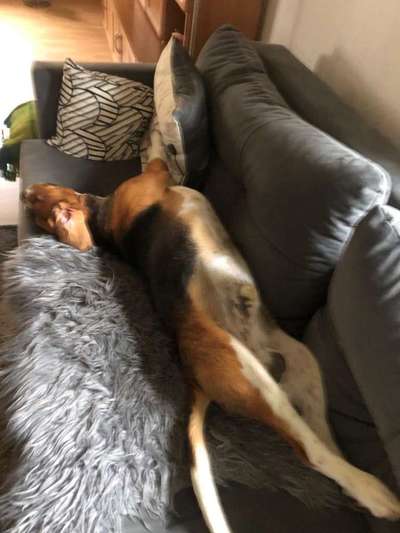 Die unbequemsten und lustigsten Schlafpositionen-Beitrag-Bild