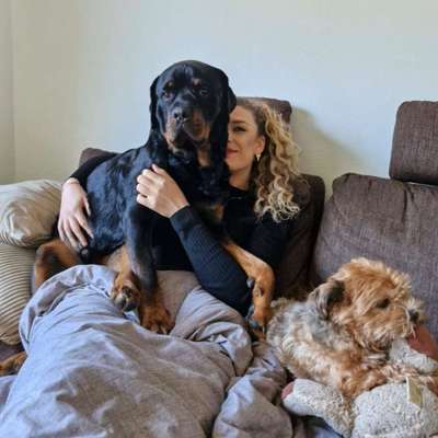 Hundetreffen-Gegenseitige Hundebetreuung-Profilbild