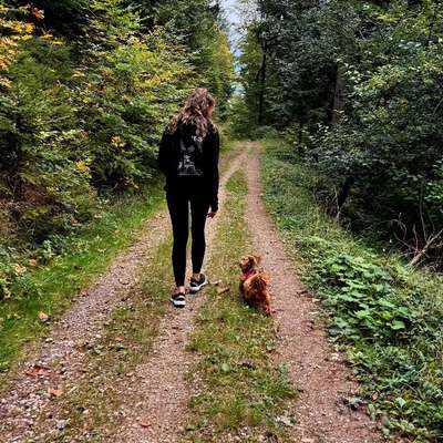 Hundetreffen-Gegenseitige Hundebetreuung